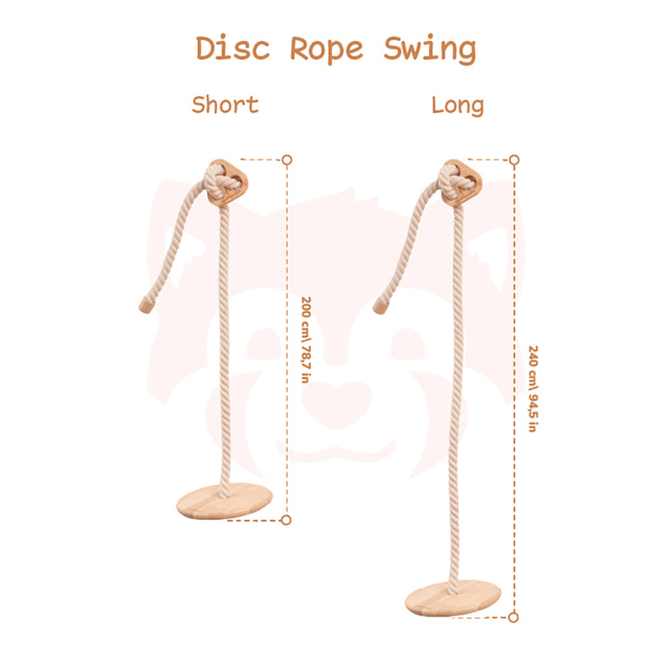 Disc Rope Swing