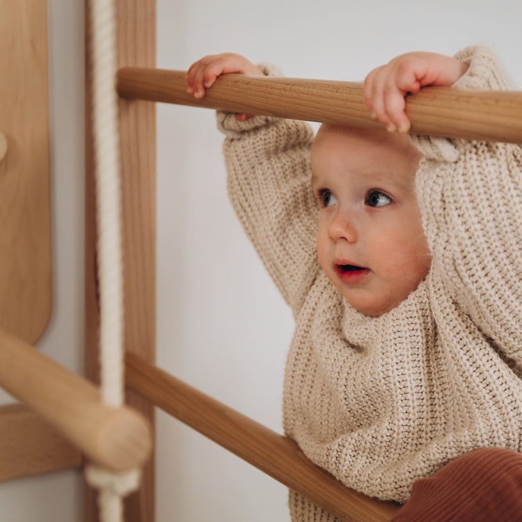 Indoor Monkey Bars