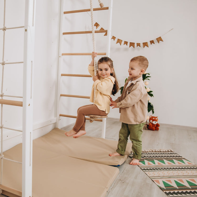 Indoor Monkey Bars