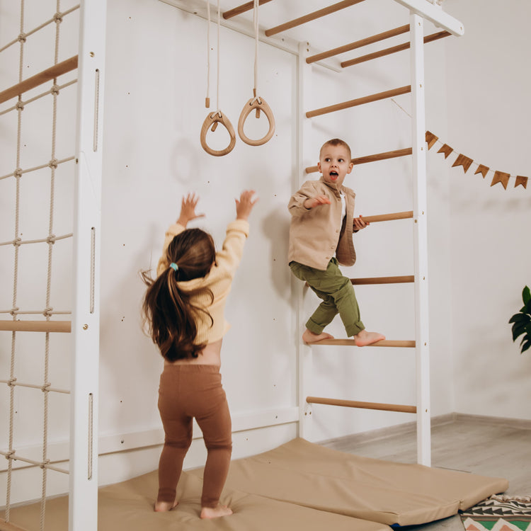 Indoor Monkey Bars