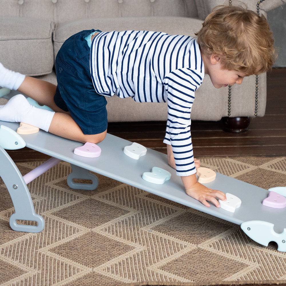 Indoor Climbing Frame and Slide