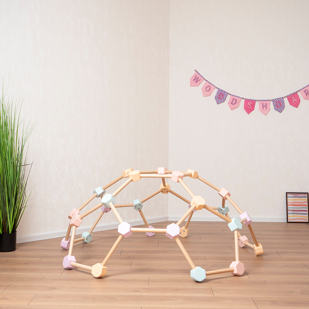 Toddler Climbing Gym