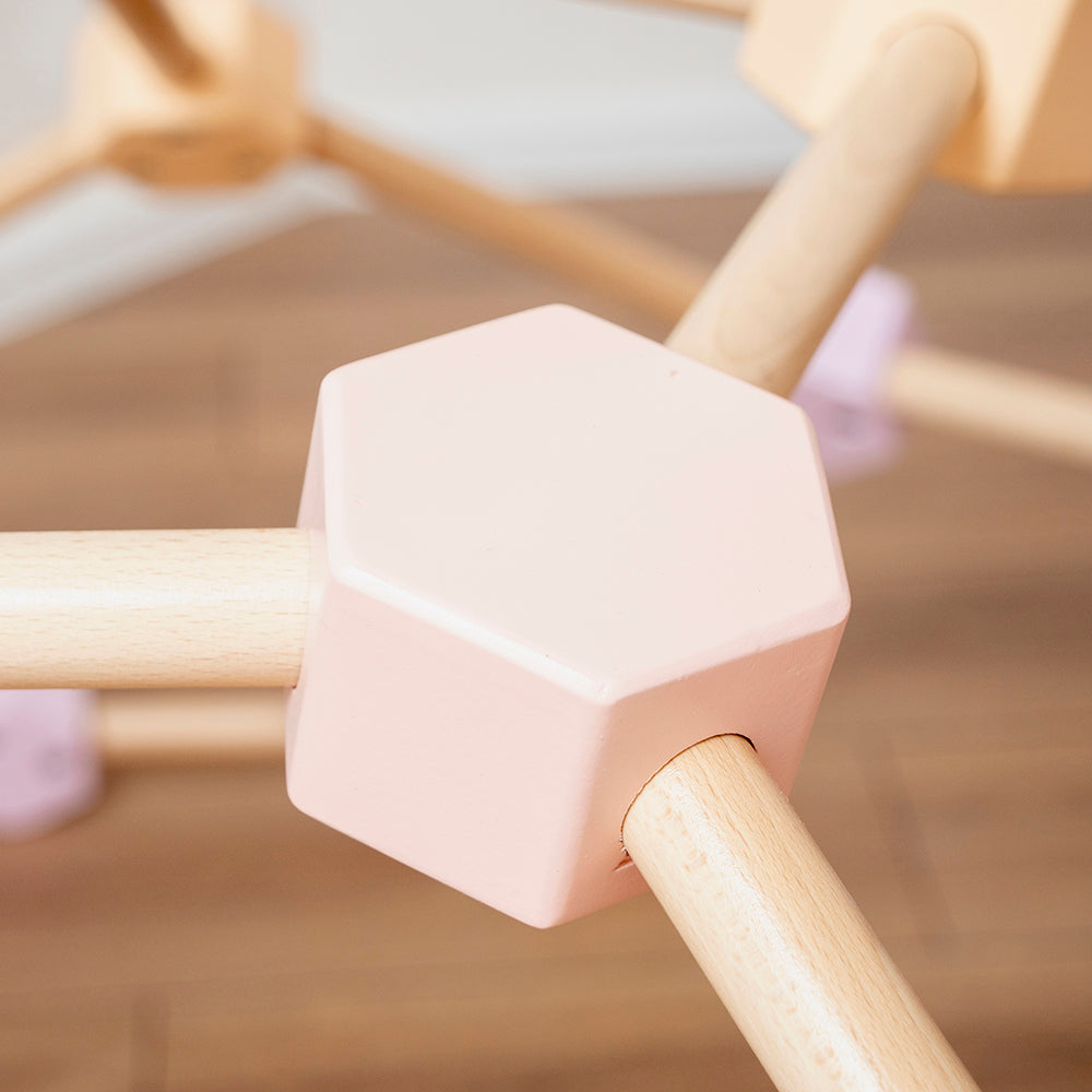 Toddler Climbing Gym