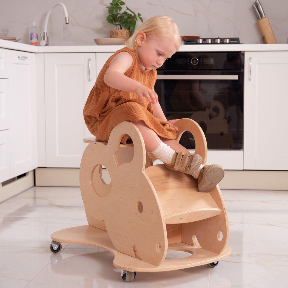 Shoe Fitting Stool