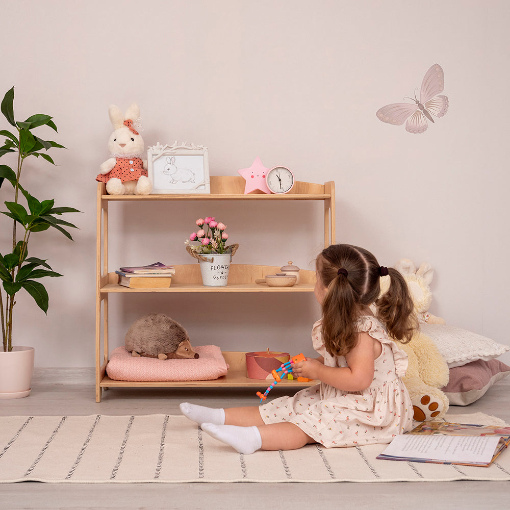 Shelf for Toys