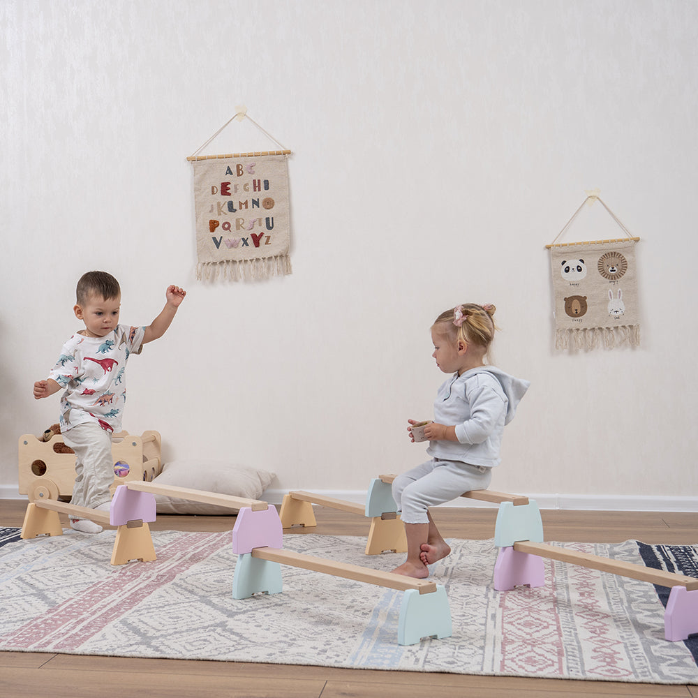 Toddler Climbing Gym