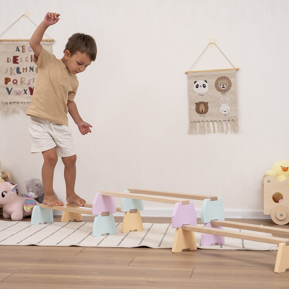 Toddler Climbing Gym