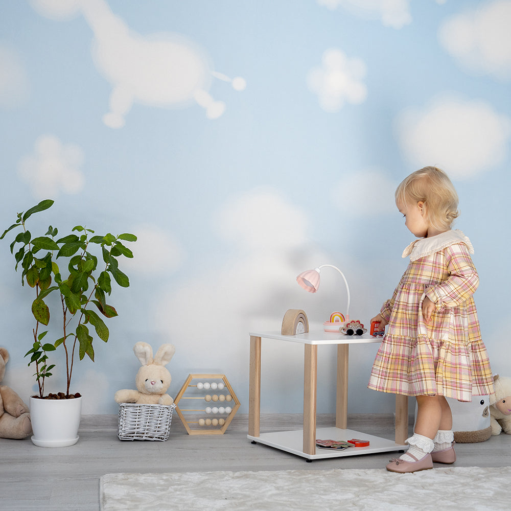 Toddler Room Bookshelf