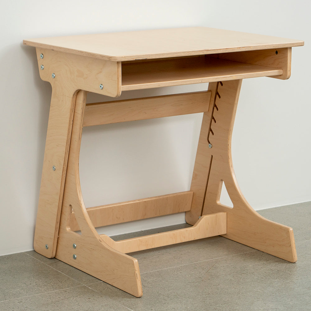 Adjustable Standing Desk