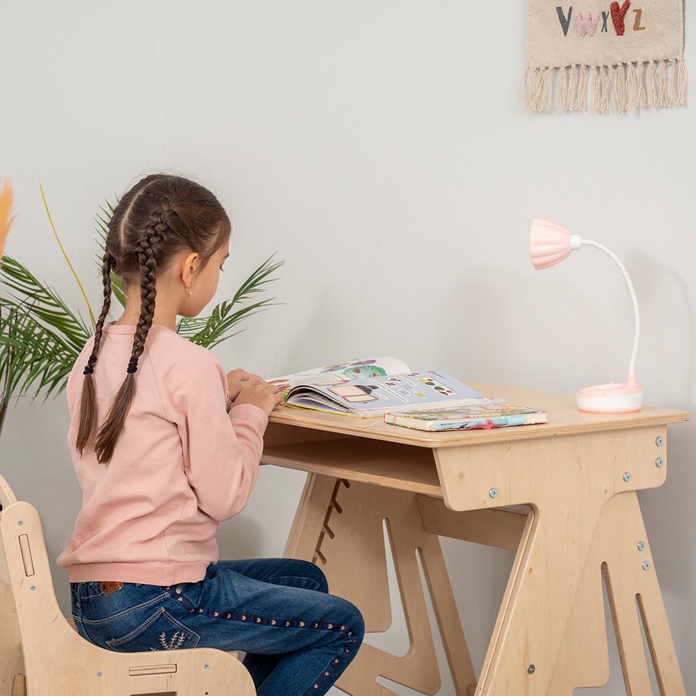 Adjustable Standing Desk