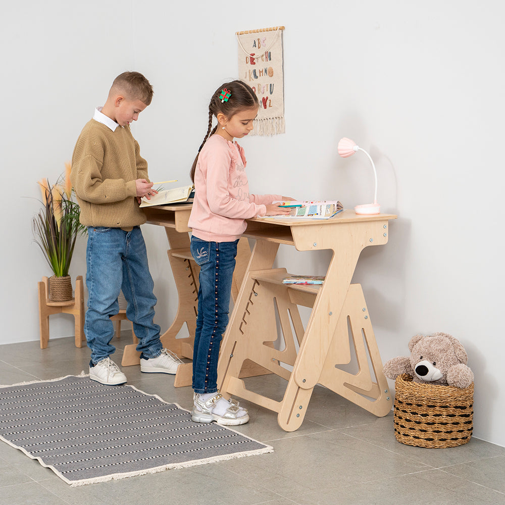 Adjustable Standing Desk