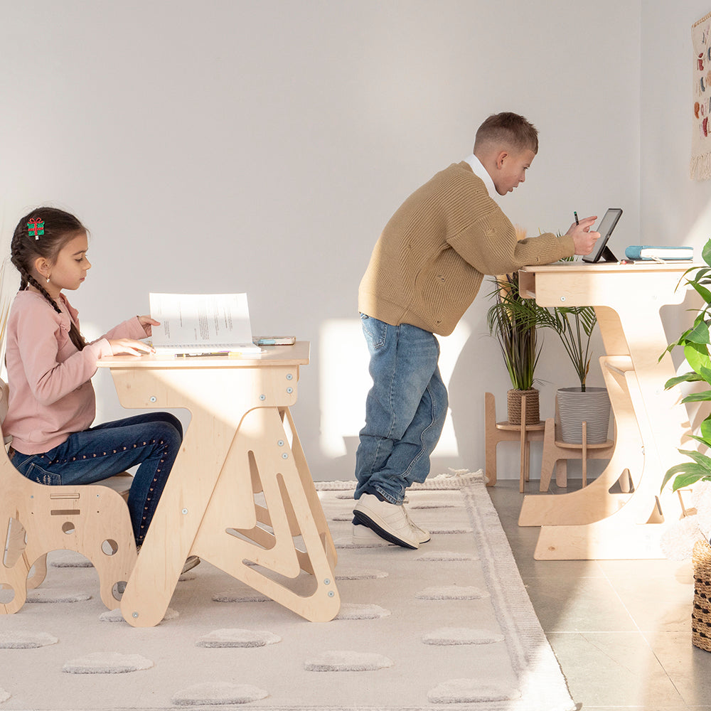 Adjustable Standing Desk