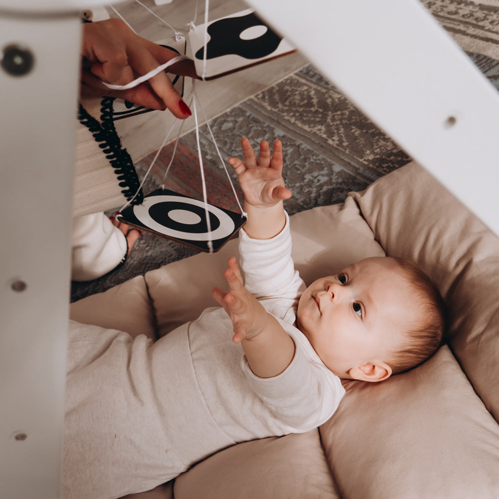 Baby Gym Toys