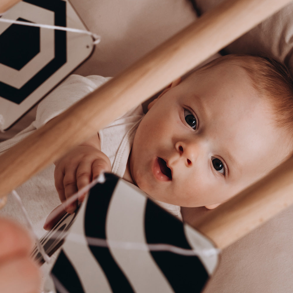 Baby Gym Toys