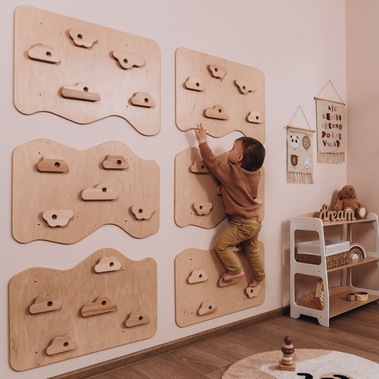 Home Climbing Wall