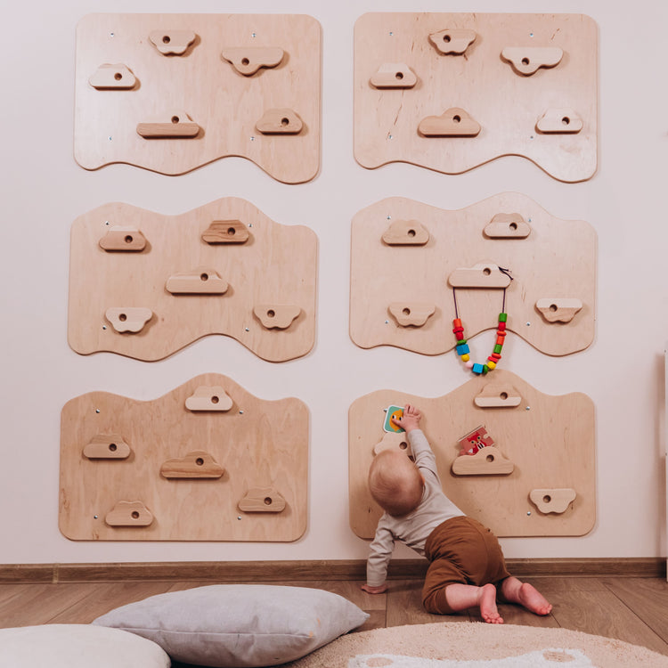 Home Climbing Wall