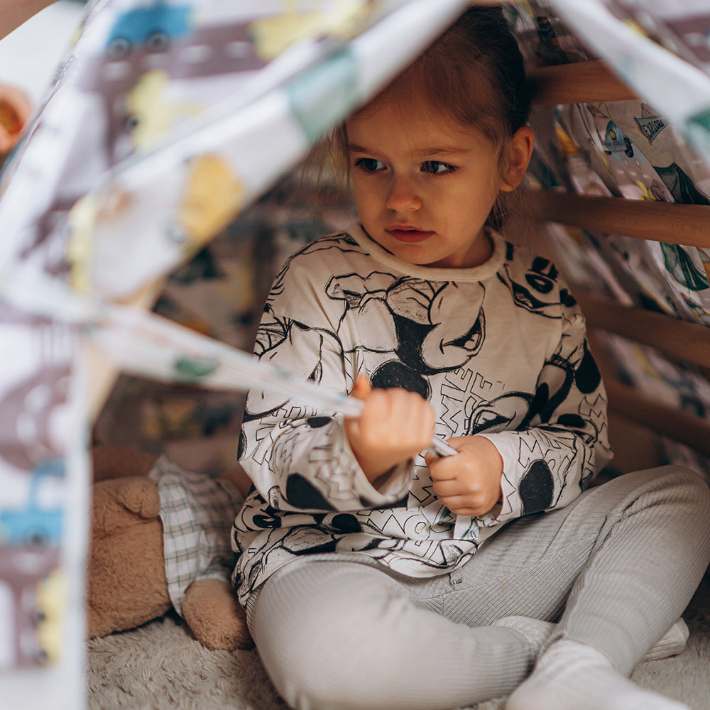 Large Climbing Triangle with Tent Cover