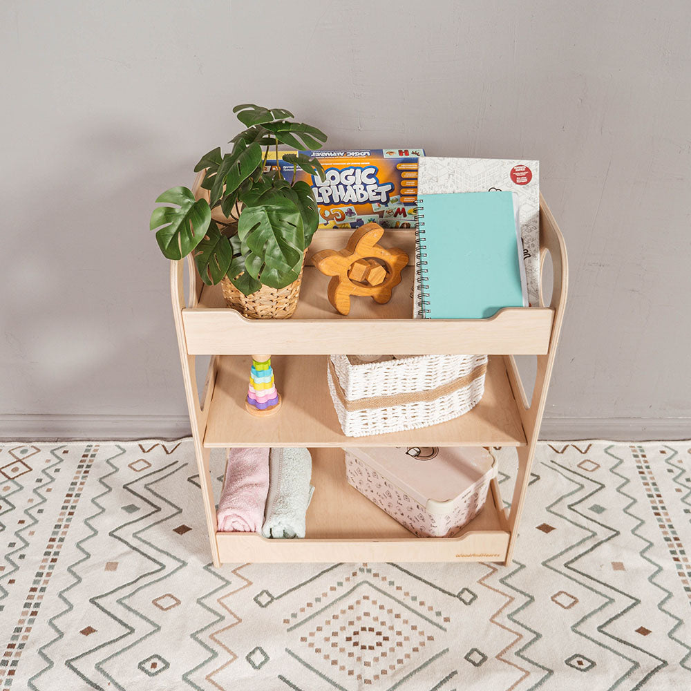 Toy Storage Bookshelf